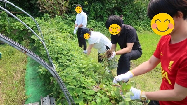 2025年5月12日の記事サムネイルその2