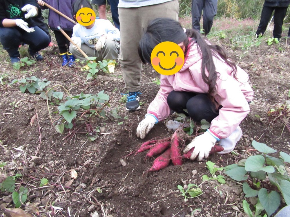 2025年11月19日の記事サムネイル