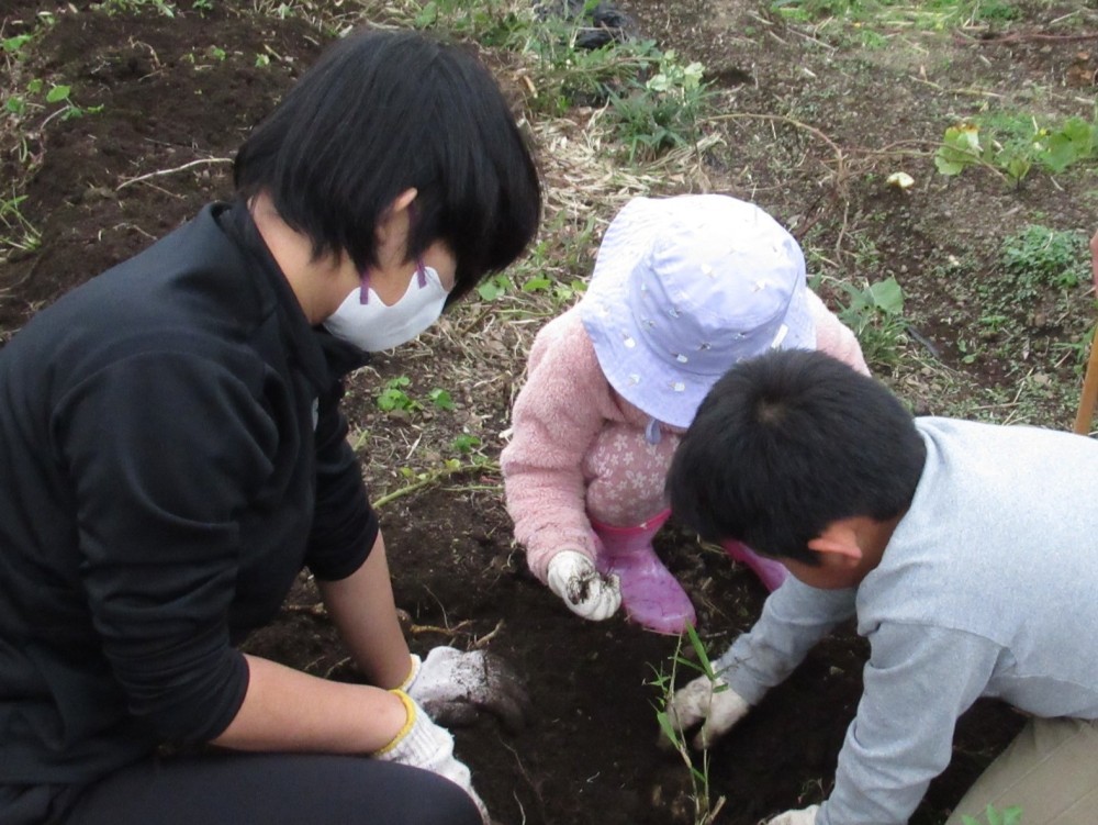 2025年11月19日の記事サムネイルその2