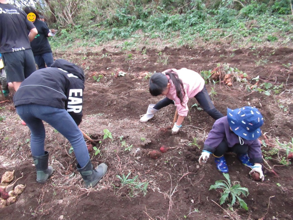 2025年11月19日の記事サムネイルその3