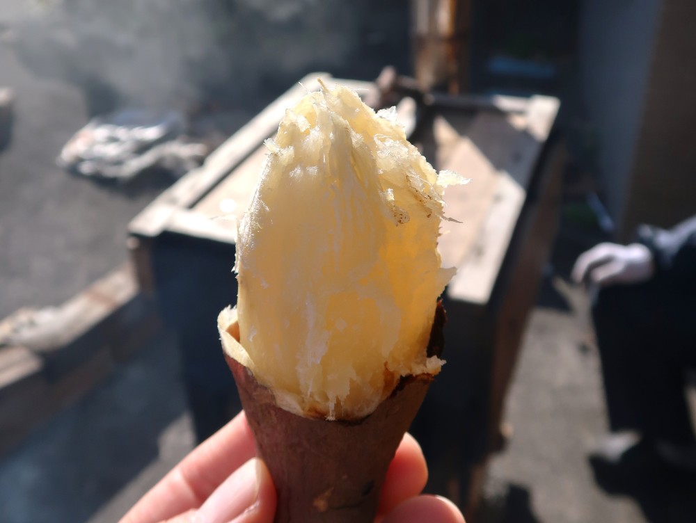 2025年11月27日の記事サムネイルその2