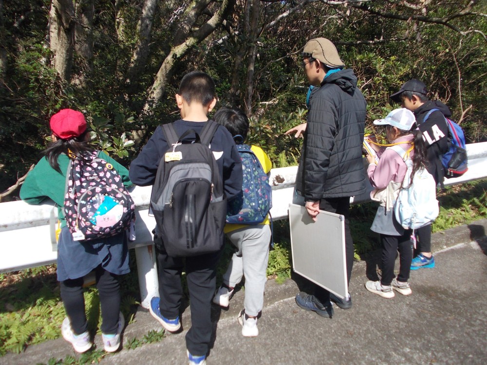 2026年3月6日の記事サムネイルその1