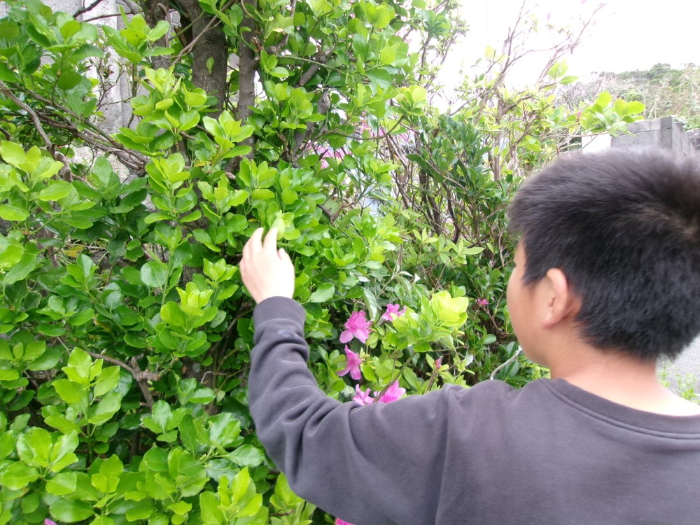 2026年4月13日の記事サムネイルその2