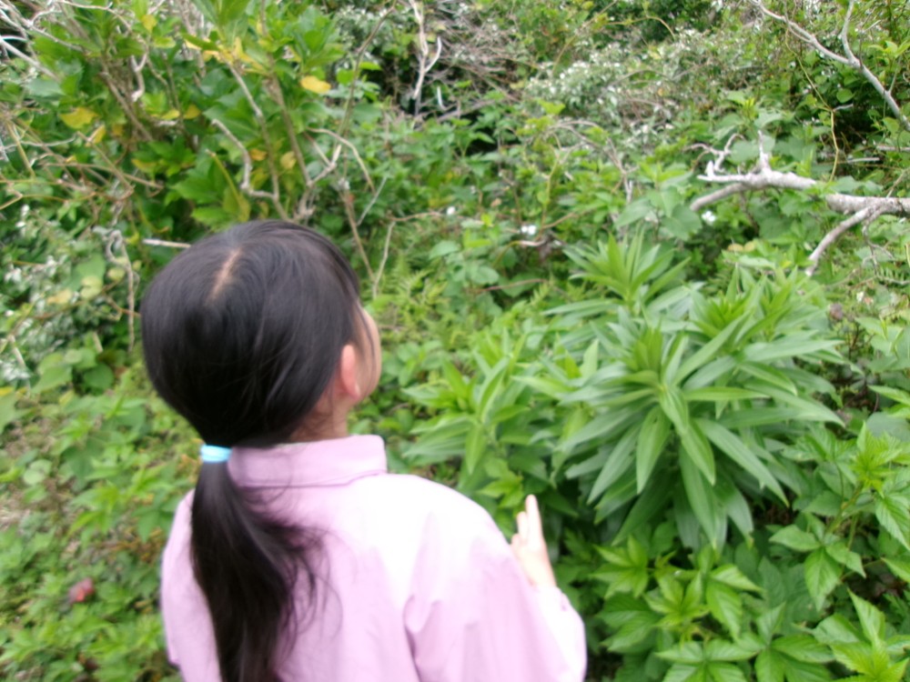 2026年4月13日の記事サムネイルその3