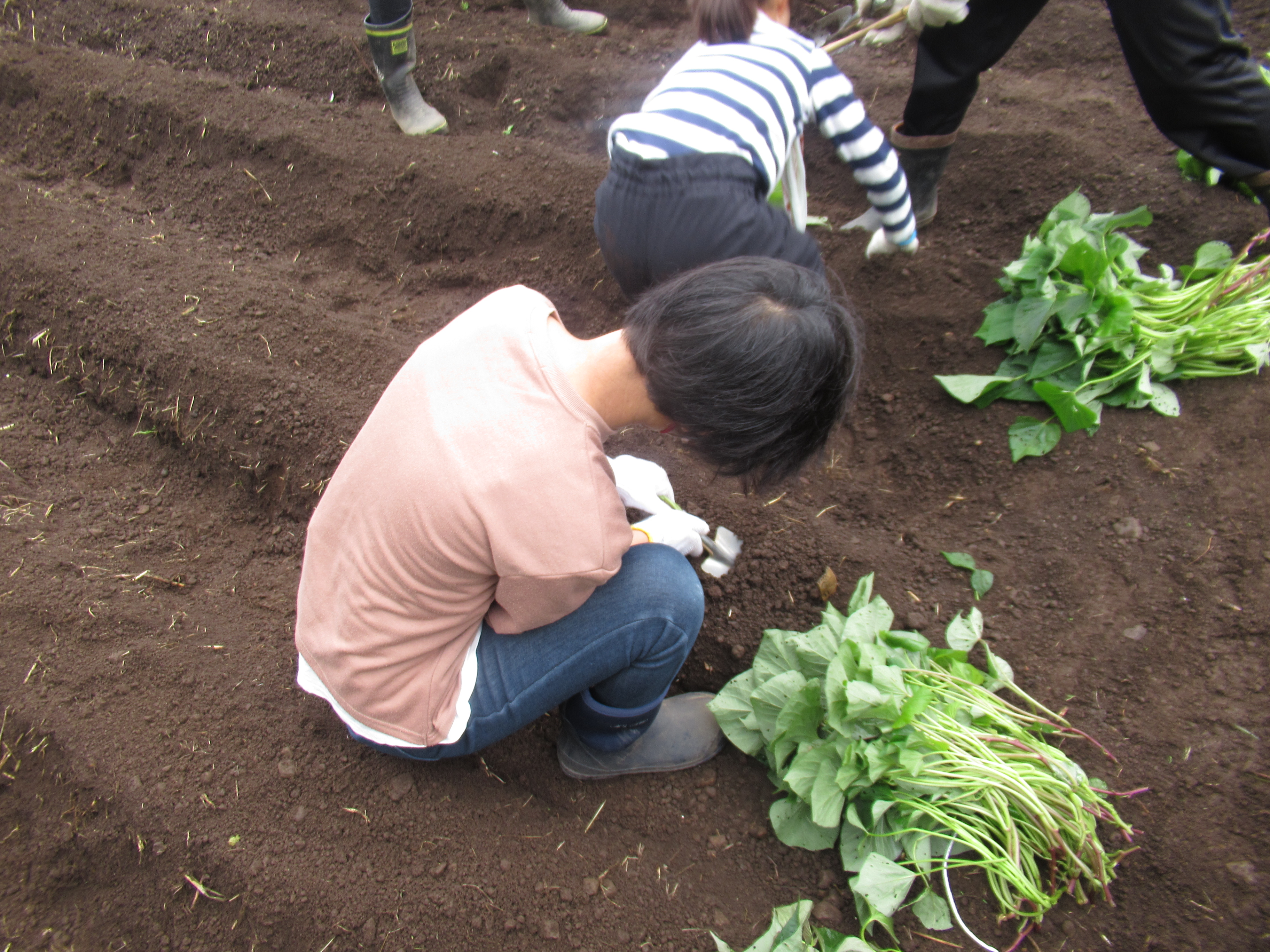 地域人材・資源活用推進校写真7