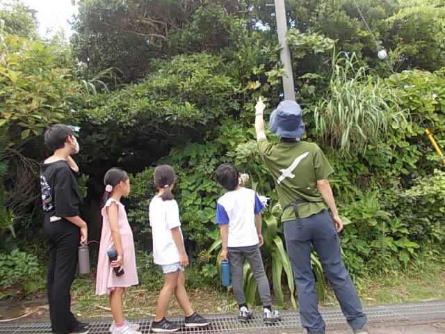 地域人材・資源活用推進校写真16